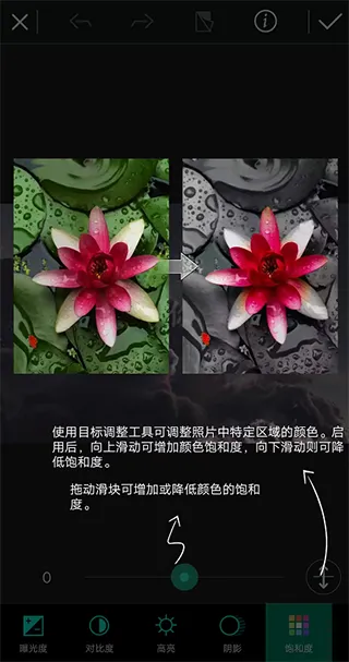 相片大师app使用教程 相片大师app使用教程