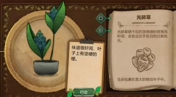 奇异园艺植物图鉴 奇异园艺植物图鉴