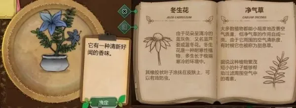 奇异园艺植物图鉴 奇异园艺植物图鉴