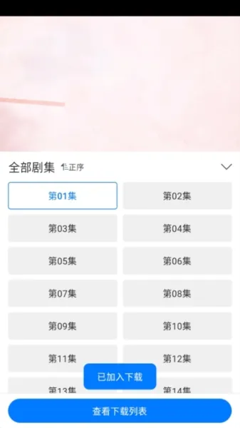 雷龙影视官方下载正版怎么缓存