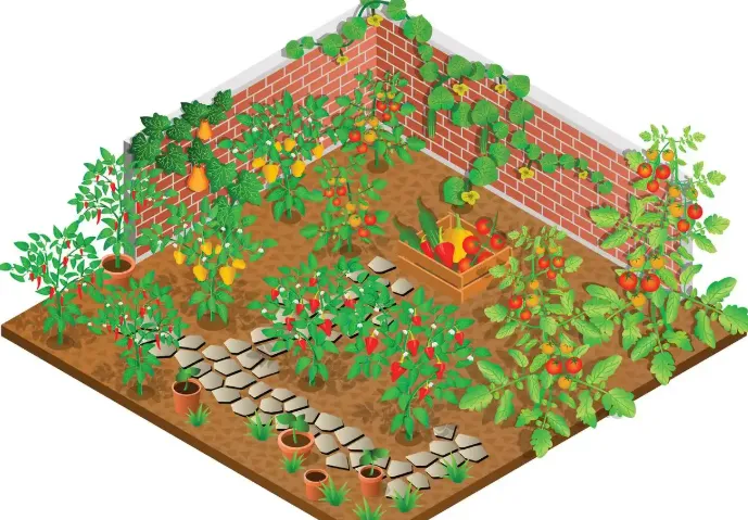 QQ经典农场手游官方版游戏特点 QQ经典农场手游官方版游戏特点