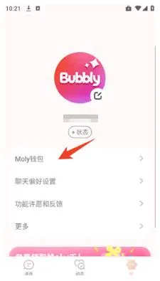 Bubbly使用方法