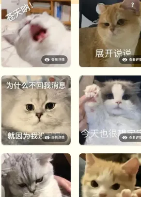动物交流猫狗翻译器免付费版功能 动物交流猫狗翻译器免付费版功能