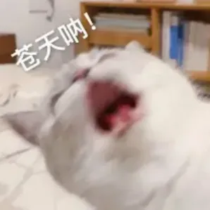 动物交流猫狗翻译器免付费版特色: 动物交流猫狗翻译器免付费版特色: