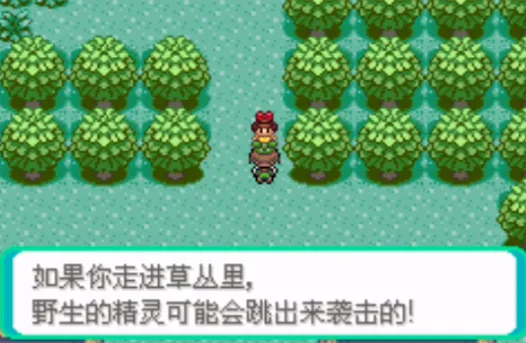 口袋妖怪格查尔游戏攻略