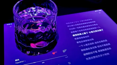 软件怎么导入网易云音乐