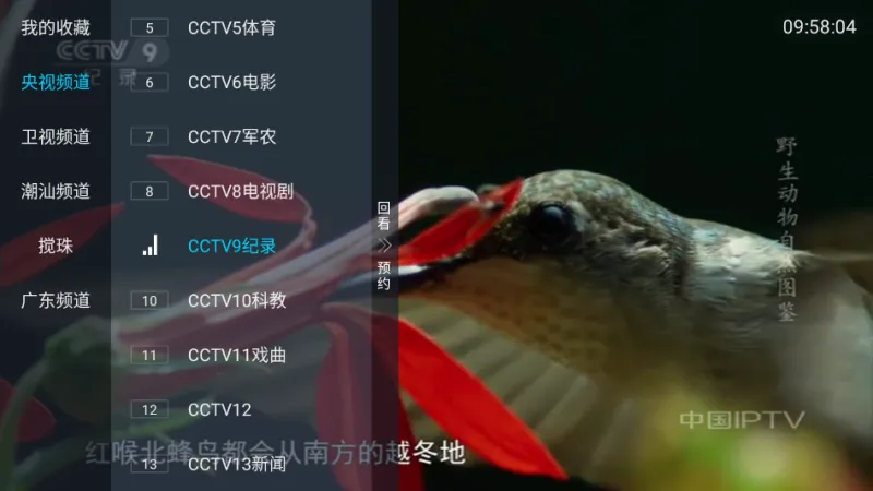 叼毛TV免广告版截图1