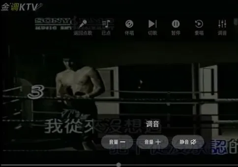 金调KTV怎么用 金调KTV怎么用