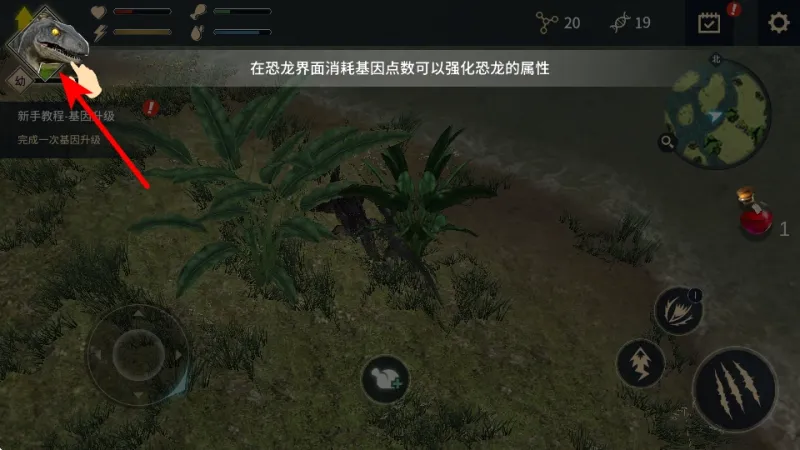 恐龙岛沙盒进化免广告版攻略：