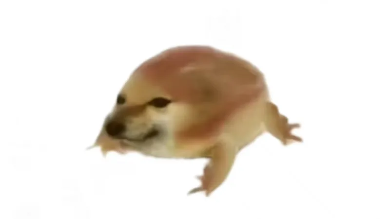 我的刀盾手机版截图2