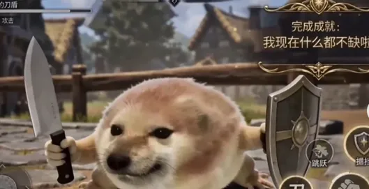 我的刀盾手机版特色：