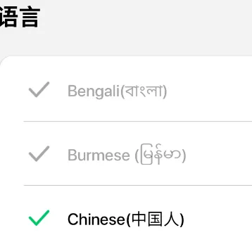 灵动岛Pro怎么用