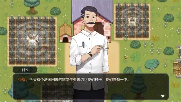 乡村狂想曲通关攻略：