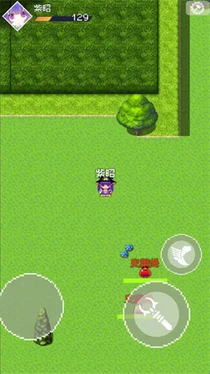 杖至终章游戏怎么玩：