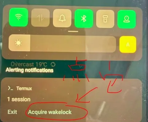 OpenClaw App部署教程 OpenClaw App部署教程