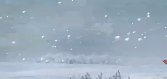 蝶梦手游2026最新版亮点 蝶梦手游2026最新版亮点