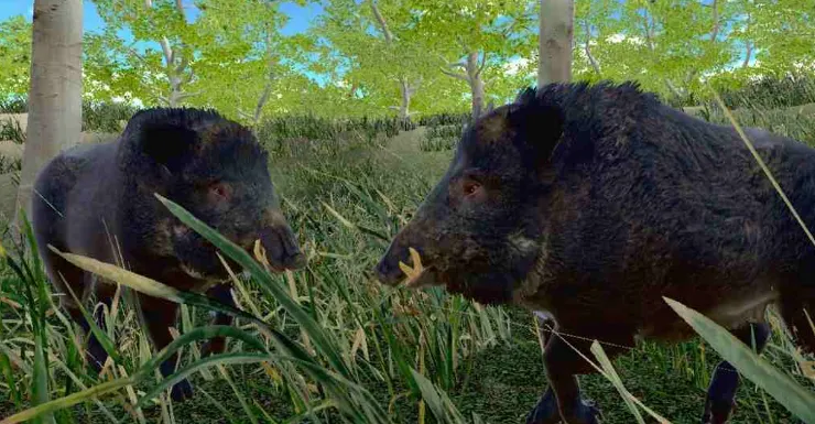 狩猎商店模拟器无广告版亮点: 狩猎商店模拟器无广告版亮点: