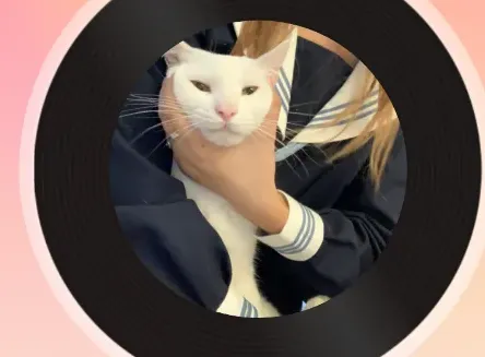 免费音乐大典有哪些音乐