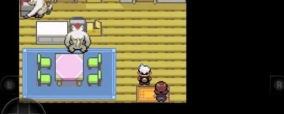 口袋妖怪迷失夜6游戏介绍：