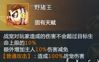 混沌起源战宠推荐：