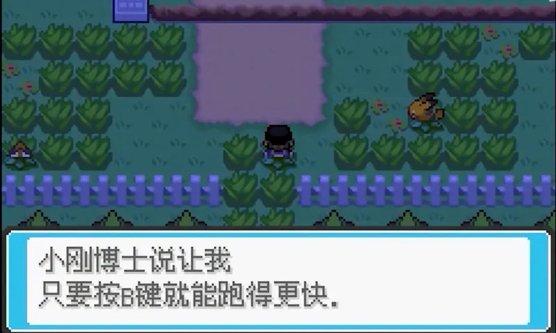 口袋妖怪皎月星河汉化版教程：