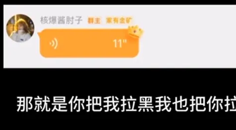 核爆酱肘子语音盒好用吗