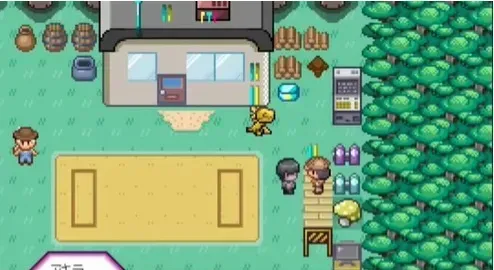 宝可梦迷之规则12个训练师在哪