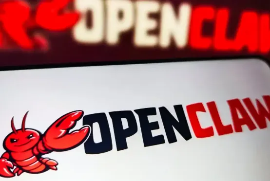 小米小龙虾 小米小龙虾