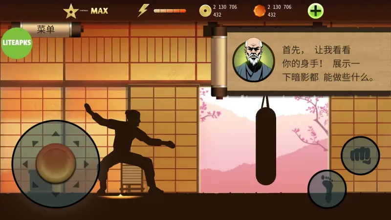 暗影格斗2破解版