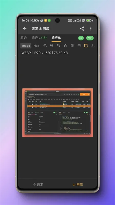 小黄鸟抓包软件官方版下载截图5