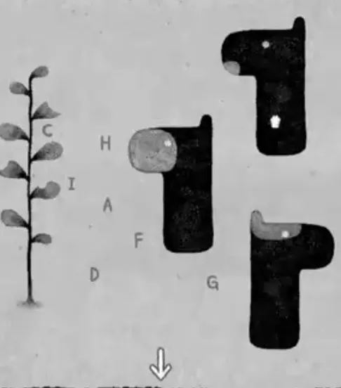 她的树游戏中文版攻略：