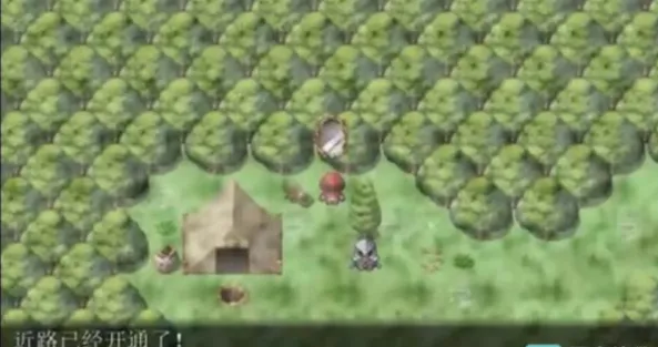 小红帽之森全流程攻略