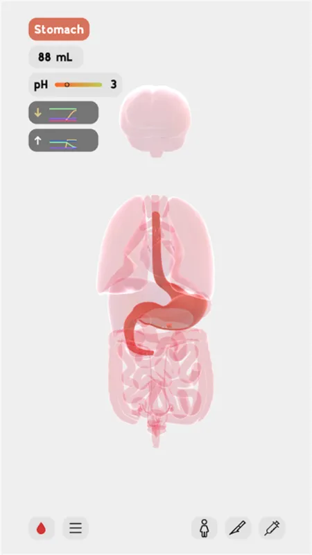 生命life手游中文版下载截图2