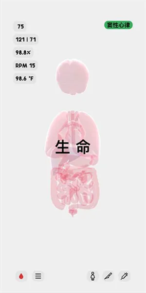 简体中文语言设置全流程指南