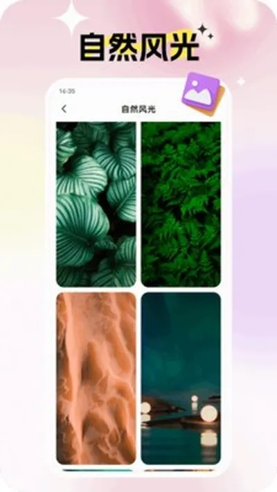 灵蝶壁纸2026最新版截图1