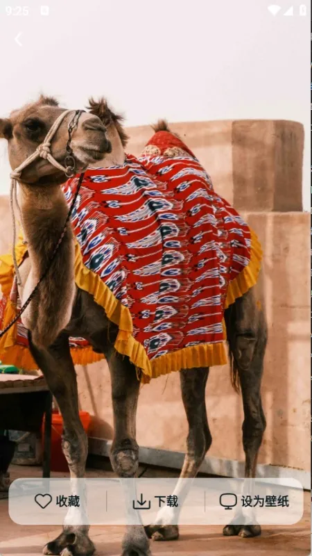 灵蝶壁纸2026最新版怎么用