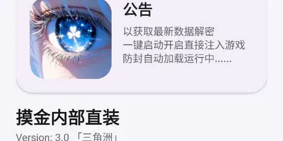 摸金内部直装3.0