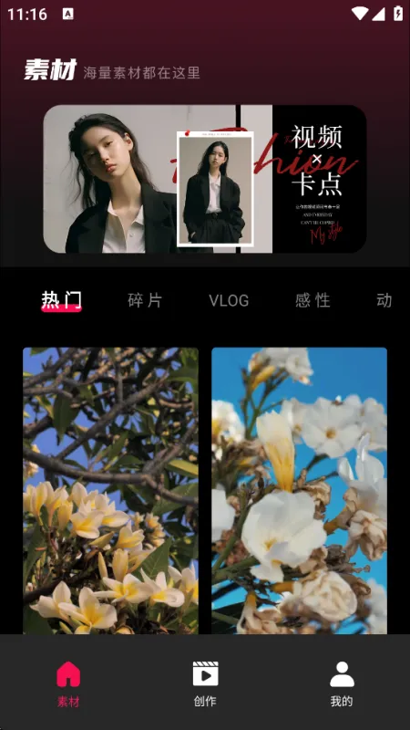 Tibni国际版官方正版截图4