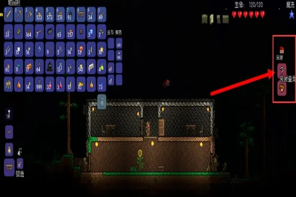 泰拉瑞亚1.4.5.4.2汉化版NPC住房建造全流程详解（手把手版）