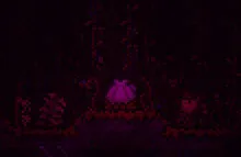 泰拉瑞亚1.4.5.4.2汉化版世纪之花花苞精准定位指南