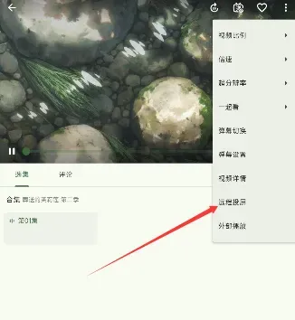 kazumi纯净版官方正版怎么投屏