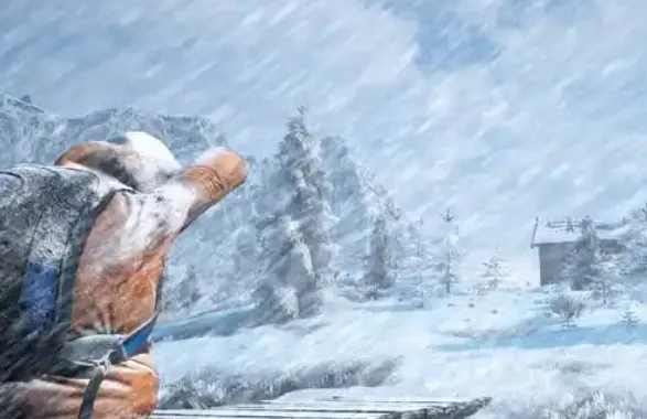 代号冬日求生官方正式版怎么玩：