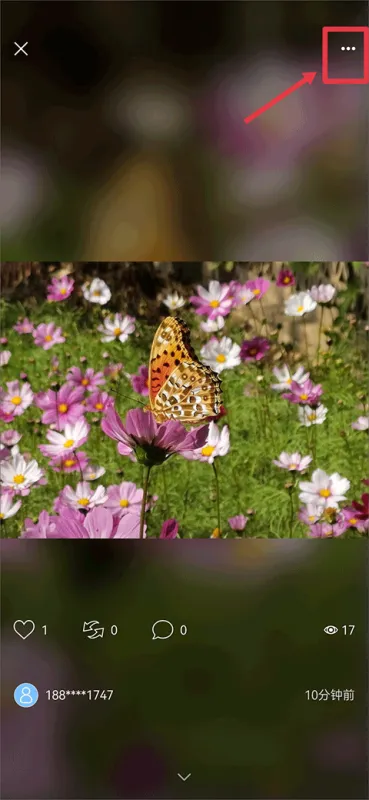 视觉中国app怎么下架自己的图片