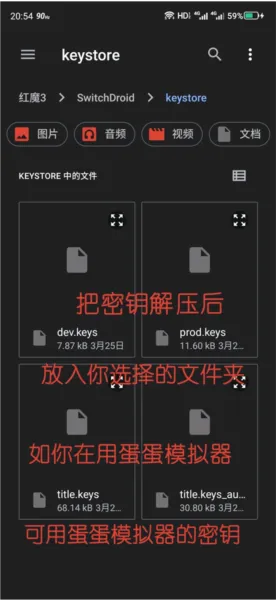 天际线switch模拟器怎么用
