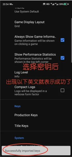 天际线switch模拟器怎么用