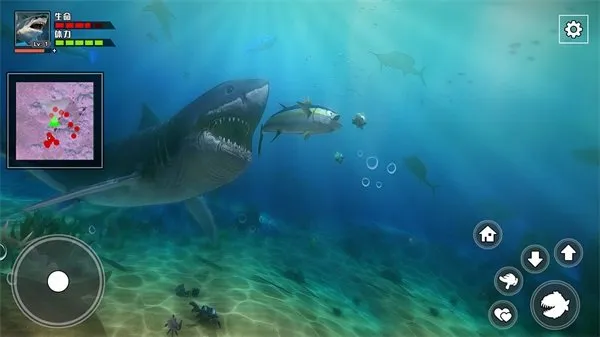 饥饿鲨鱼求生完整版截图1