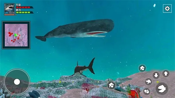 饥饿鲨鱼求生完整版截图3