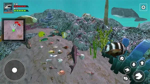 饥饿鲨鱼求生完整版截图4