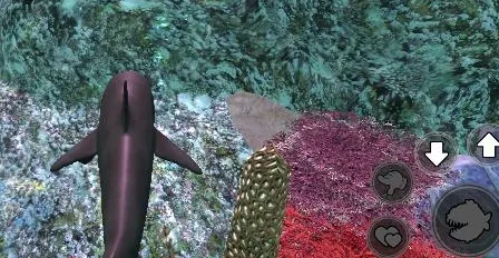 饥饿鲨鱼求生 安卓版