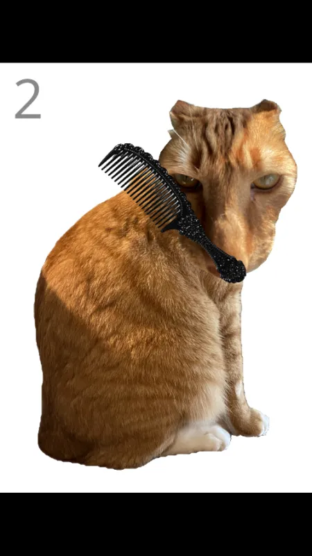 韩国给猫梳毛的游戏截图3